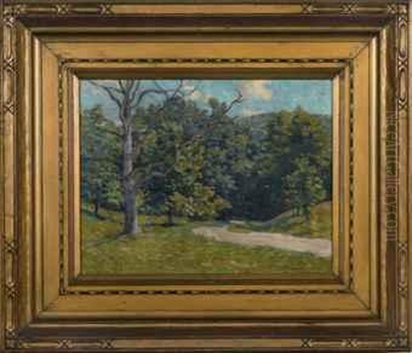 A Road Through The Hidden Meadow - view 1