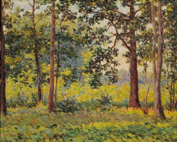 Summer Woodland - view 1