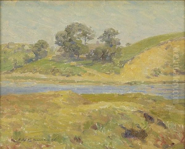 Sunny Afternoon - view 1