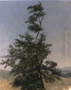 Baumkrone Vor Weiter Landschaft by Josef Holzer