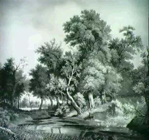 Idyllische Bachlandschaft Mit Rehen