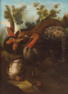 Paisaje Con Zorro Y Pavos by Gillis Claesz De Hondecoeter