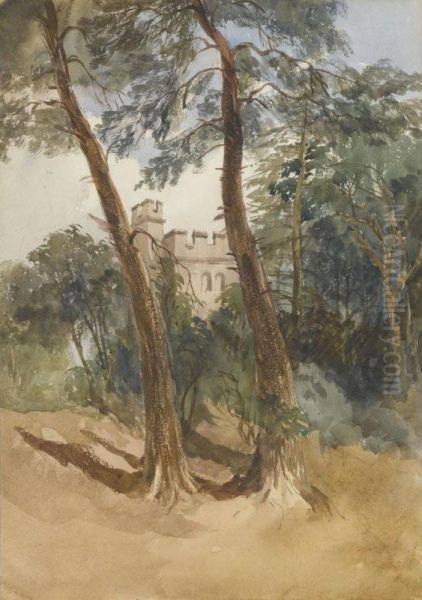 The Gardens, Shrubland Park - view 1