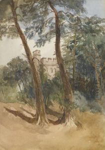 The Gardens, Shrubland Park by George Barnard
