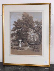 The Gardens, Shrubland Park by George Barnard