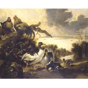 Fowl On A Riverbank