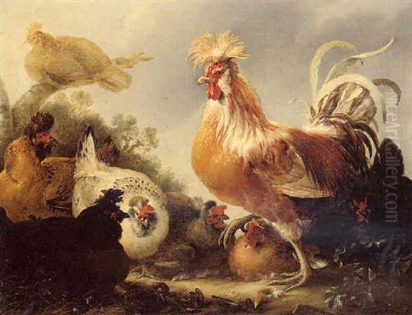 A Cockerel And Hens - view 1
