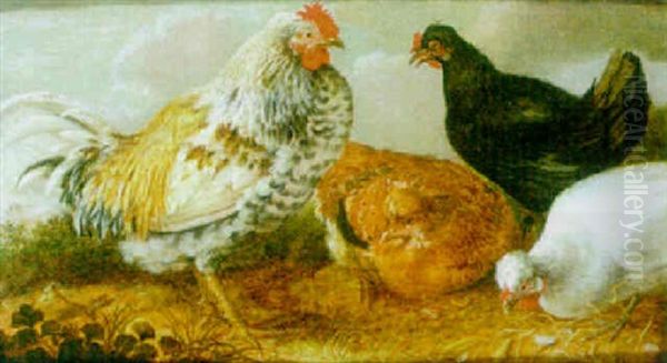 A Cockerel And Chickens In A Landscape - view 1