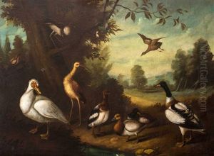 Untitled (water Birds)