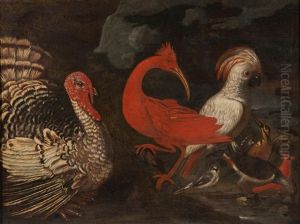 Still Life With Birds by Melchior de Hondecoeter