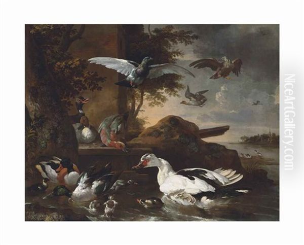 A Shoveler, A Muscovy Duck And Other Birds By A River - view 1
