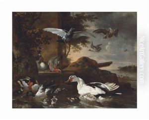 A Shoveler, A Muscovy Duck And Other Birds By A River by Melchior de Hondecoeter