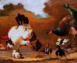 Poule Et Ses Poussins Avec Deux Paons Poule Et Ses Poussins Avec Deux Paons