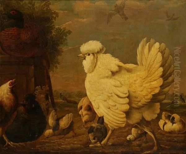 Chickens With Chicks - view 1