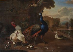 A Peacock, A Turkey, A Chicken And Other Birds In An Ornamental Garden