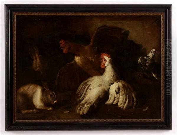 Rabbits And Roosters - view 1