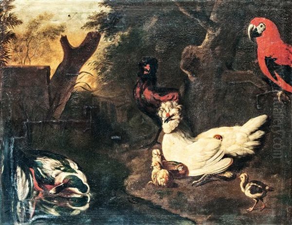 Hen Yard - view 1