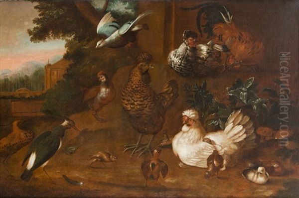Birds - view 1