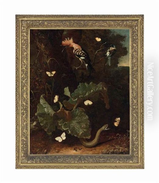 A Forest Floor With A Snake, A Hoopoe And Butterflies - view 1