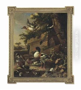 Sheldrake Ducks And Ducklings With A Magpie In A Garden, A Village Beyond