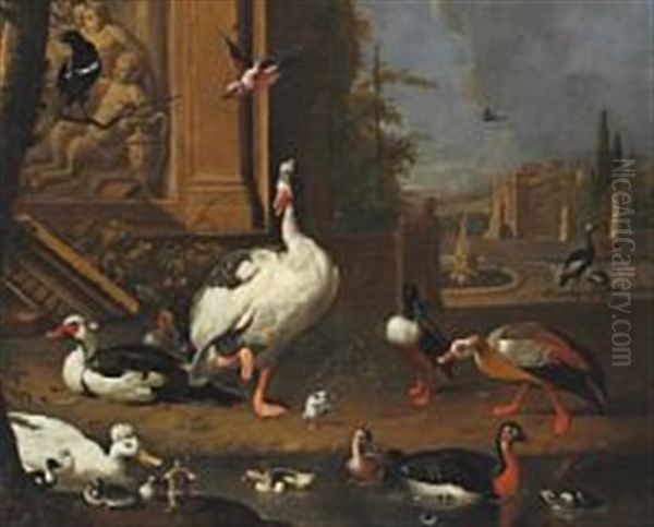 Geese, Ducks, A Magpie And Other Birds At A Pond - view 1