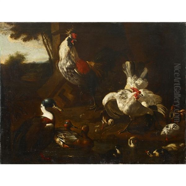 Roosters, Ducks, And Chicks - view 1