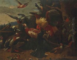 Composition Aux Oiseaux Avec Un Coq Se Battant Avec Un Corbeau
