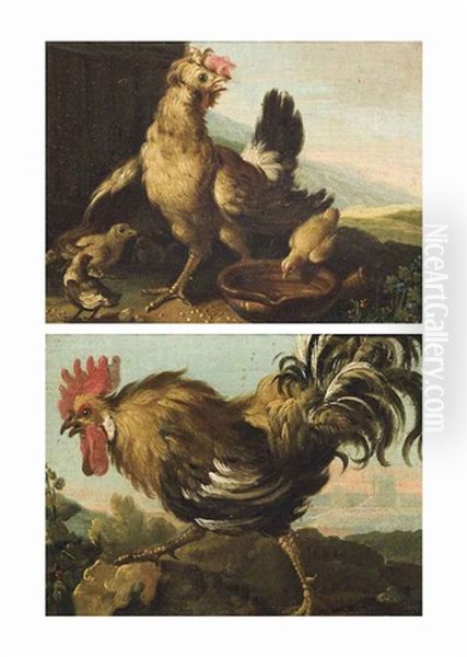 A Hen With Its Chicks; And A Cockrell (pair) - view 1