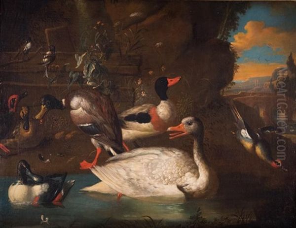 Waterfowl - view 1