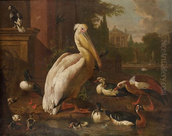 Pelican Et Canards Dans Un Parc - view 1