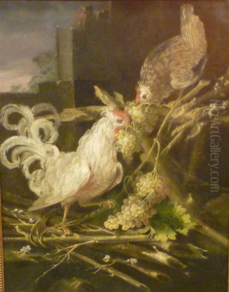 Coq Et Poule - view 1