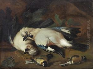 A Still Life Of Dead Birds