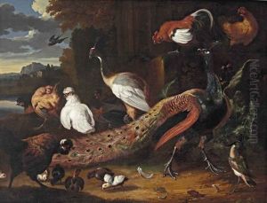 A Peaken, Hens, Chicks And A Rooster In A Park Landscape