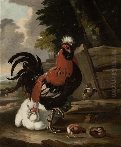 Hens And Cocks - view 1