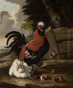 Hens And Cocks