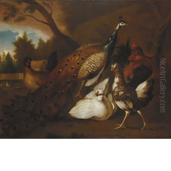 Peacock, Chickens And Other Birds In A Landscape - view 1