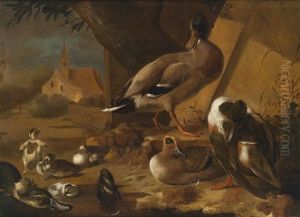 Enten An Einem Tumpel by Melchior de Hondecoeter