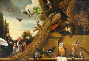 Vogelkonzert