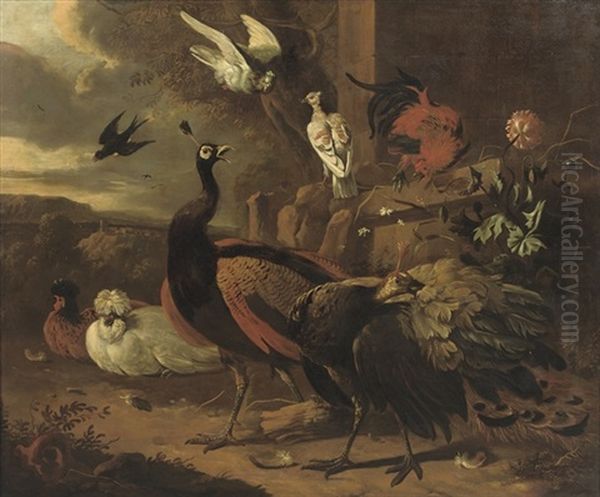 Peacocks, A Rooster, Pigeons And Other Birds - view 1