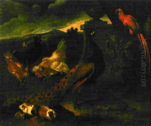 Paon Et Colailles Dans Un Paysage by Melchior de Hondecoeter