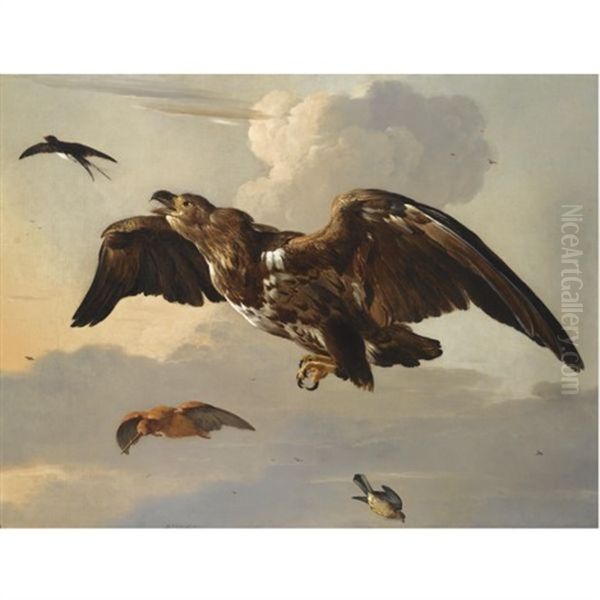 An Eagle, A Swallow, A Snipe And A Finch In Flight - view 1