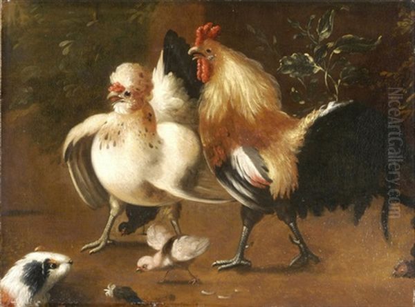 Der Eindringling - Meerschweinchen Im Huhnerhof - view 1
