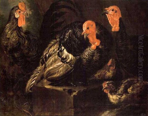 Dindons Et Gallinaces - view 1