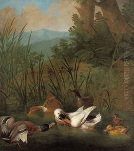 Wildenten In Einem Waldteich