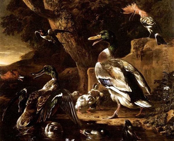 Enten Und Ein Wiedehopf - view 1