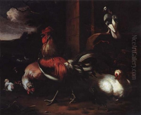 A Proud Rooster - view 1