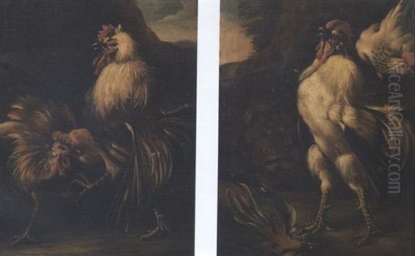 Two Cockerels Fighting In A Landscape - view 1