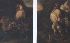 Two Cockerels Fighting In A Landscape