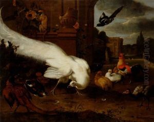 Fagelmotiv Med Vit Pafagel by Melchior de Hondecoeter