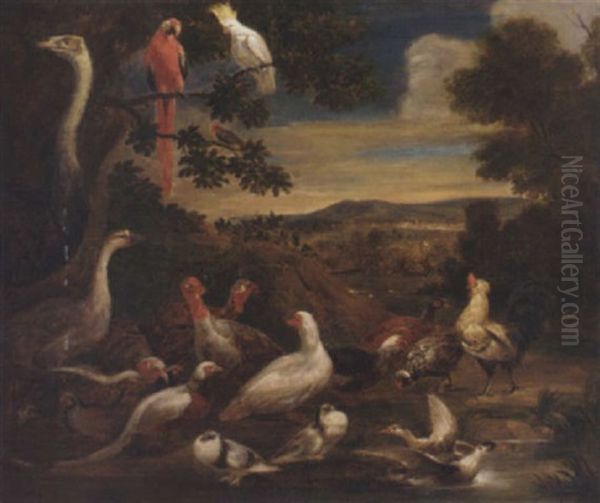 An Ostrich, Parrots, Turkeys, Cockerels, A Pheasant And Other Birds In A Wooded Landscape By Apond - view 1